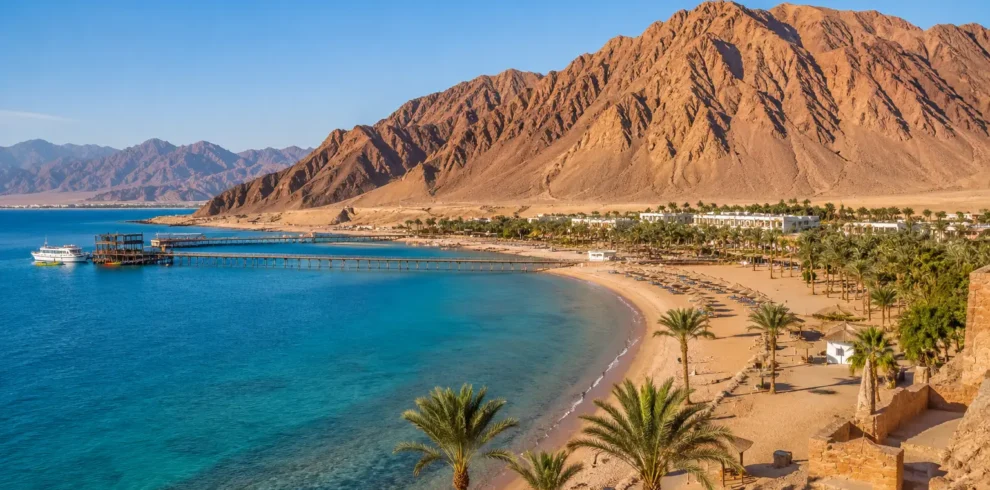 طابا